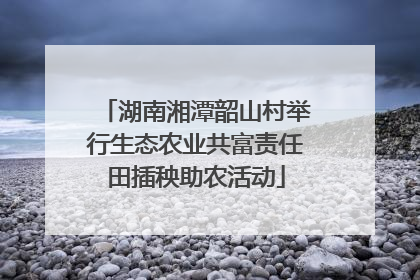 湖南湘潭韶山村举行生态农业共富责任田插秧助农活动